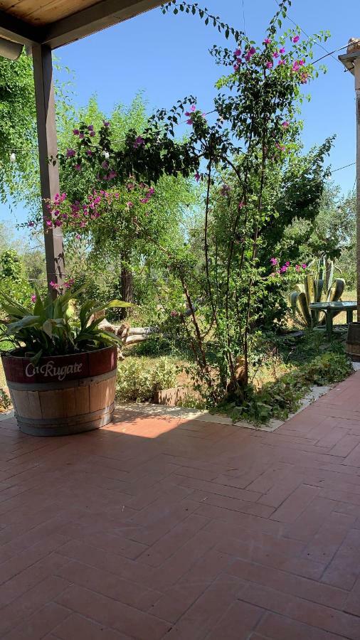 Signor Cesare Agrobistrot B&B San Giovanni Rotondo Eksteriør billede